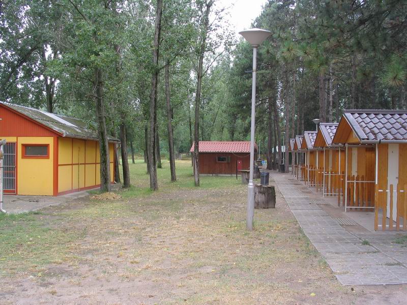 Ha vissza akarsz ugrani a
kisképekhez, kattints ide!